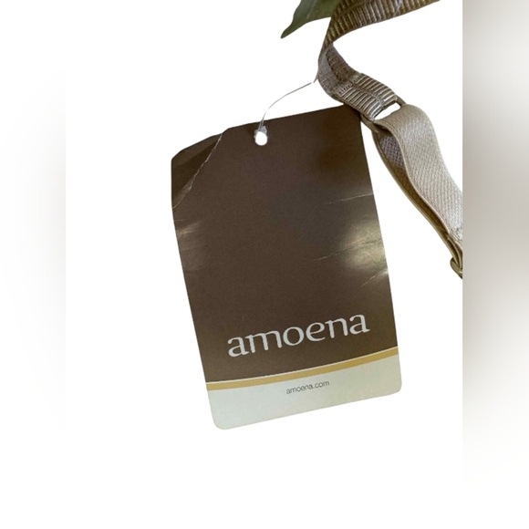 Amoena NWT Lara Lace Desire Soft Shell Bra Off White Size 32C - Picture 4 of 6